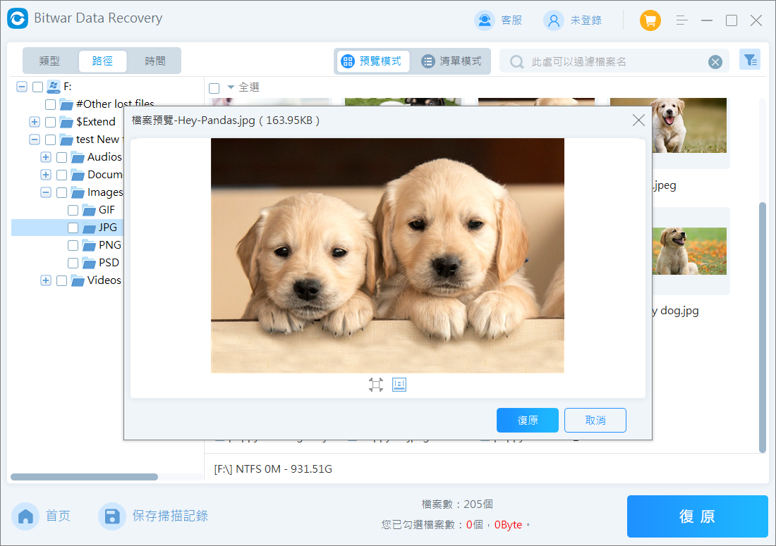 預覽和復原檔案
