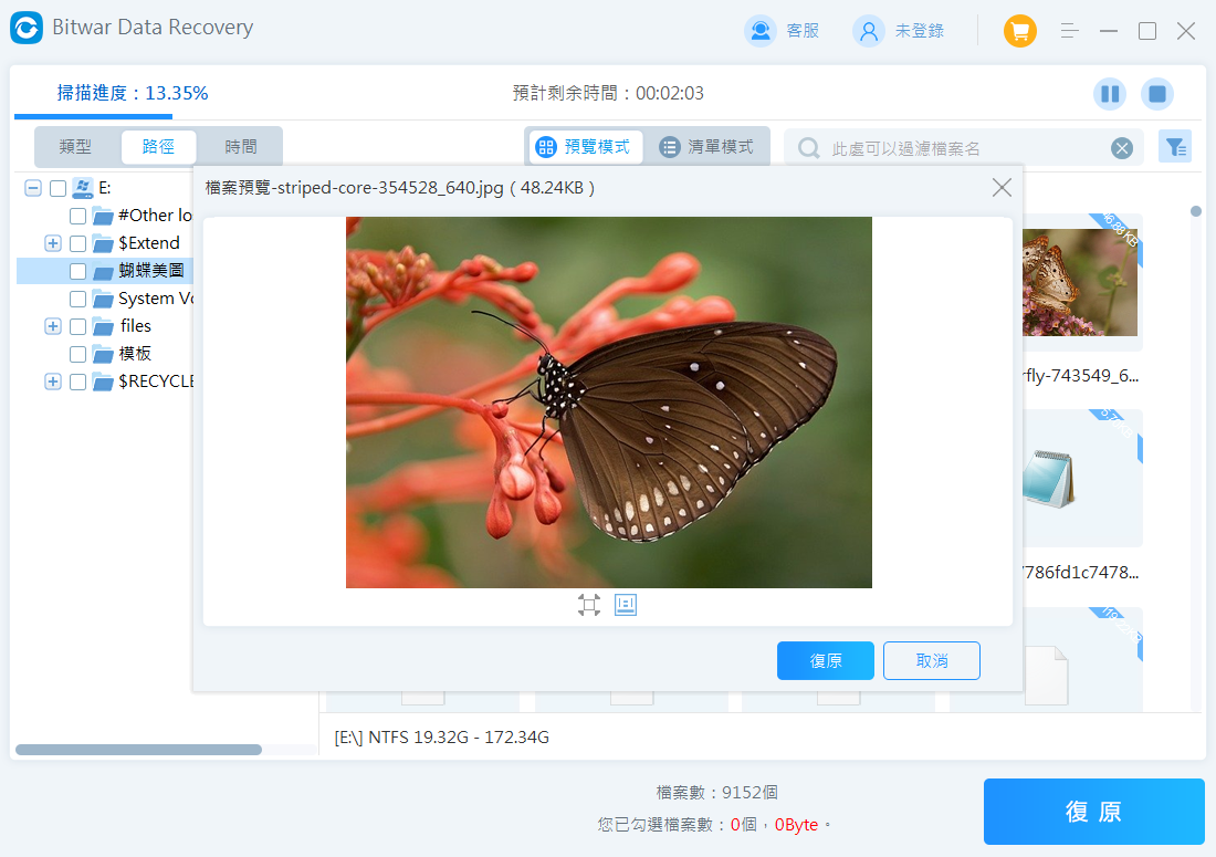 預覽並救援檔案