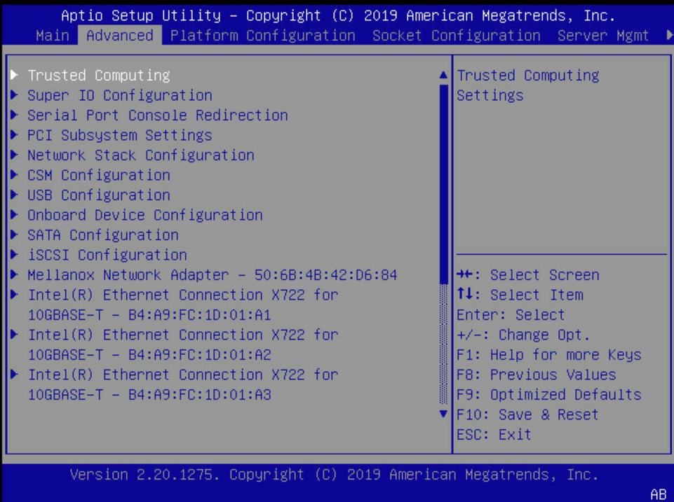 BIOS-Advanced