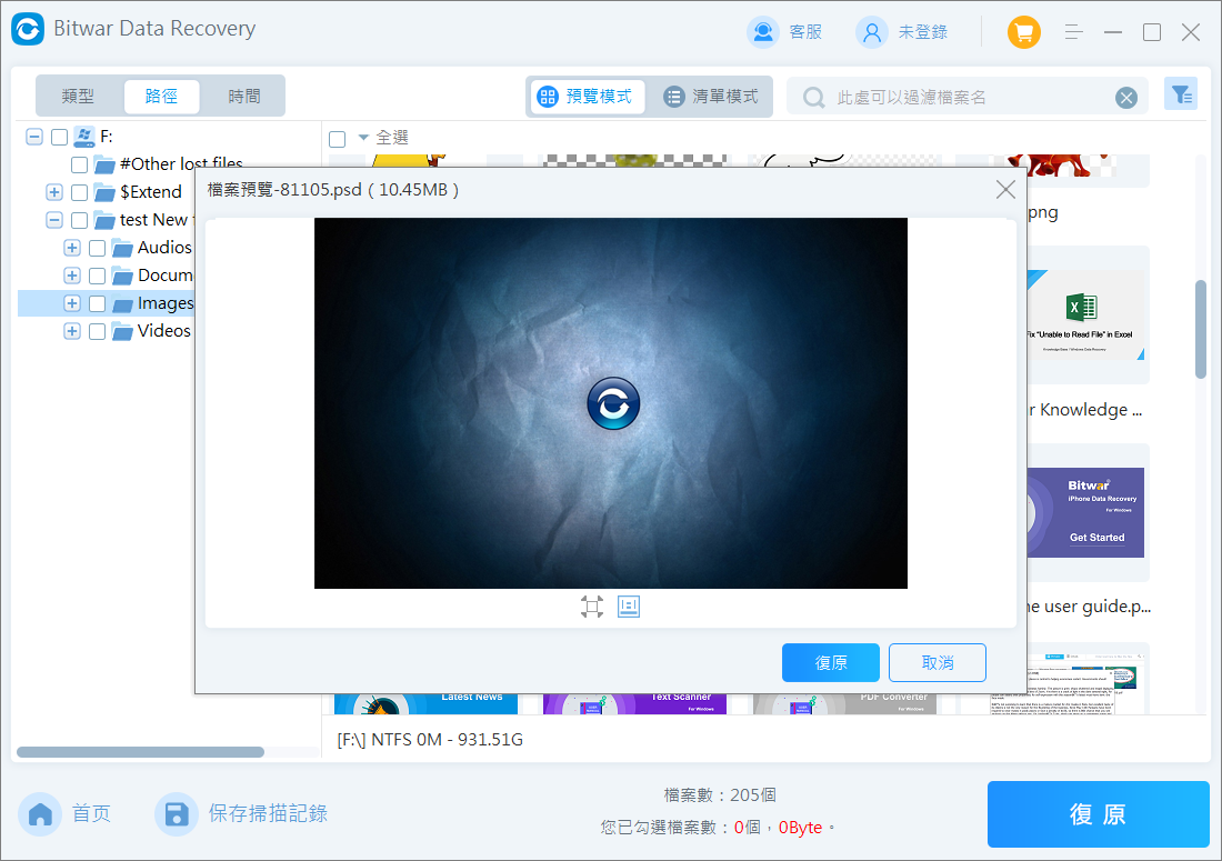 預覽並救援檔案